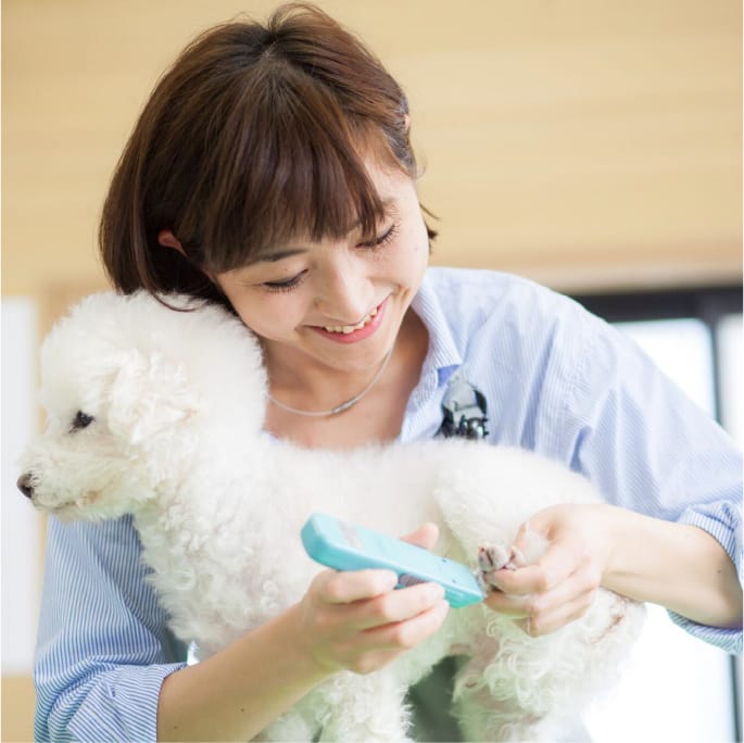 代表スタッフと犬